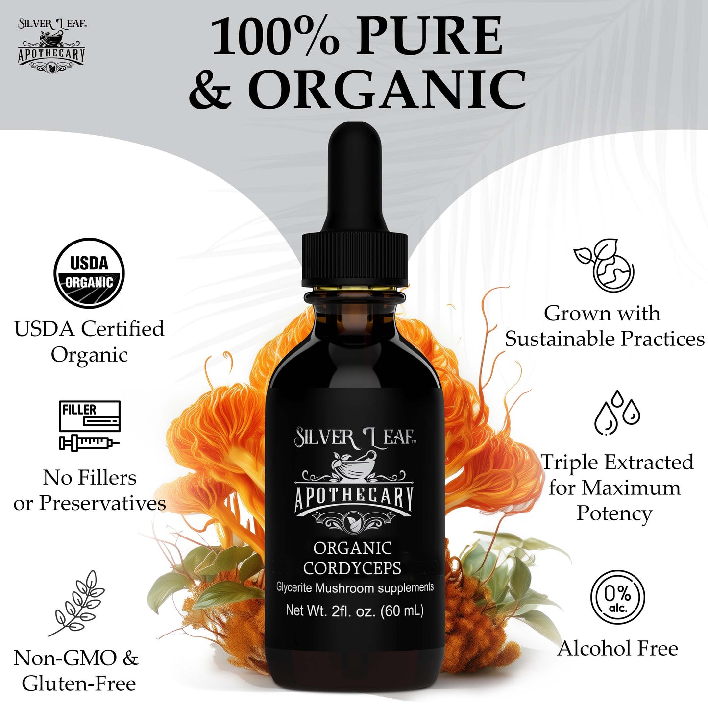 Organic Cordyceps (Cordyceps Militaris)