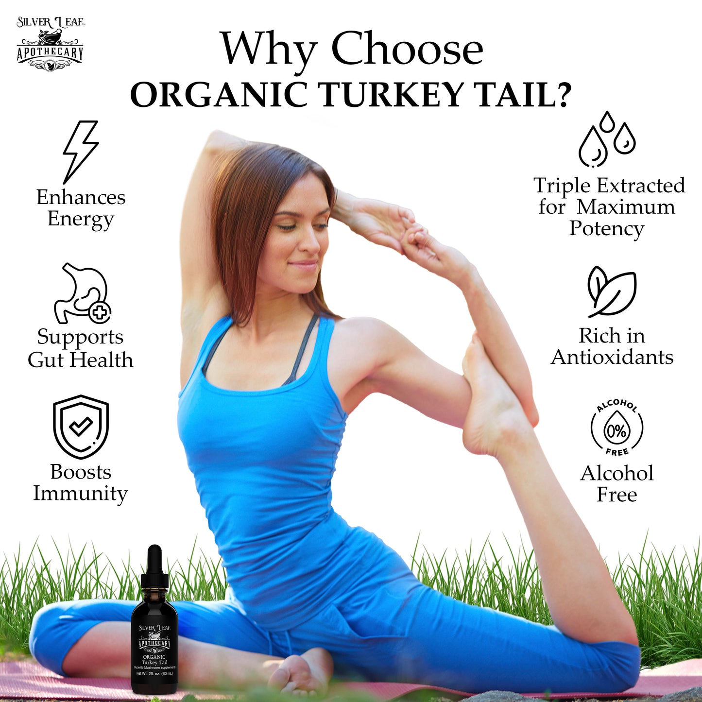 Organic Turkey Tail 2oz Tincture