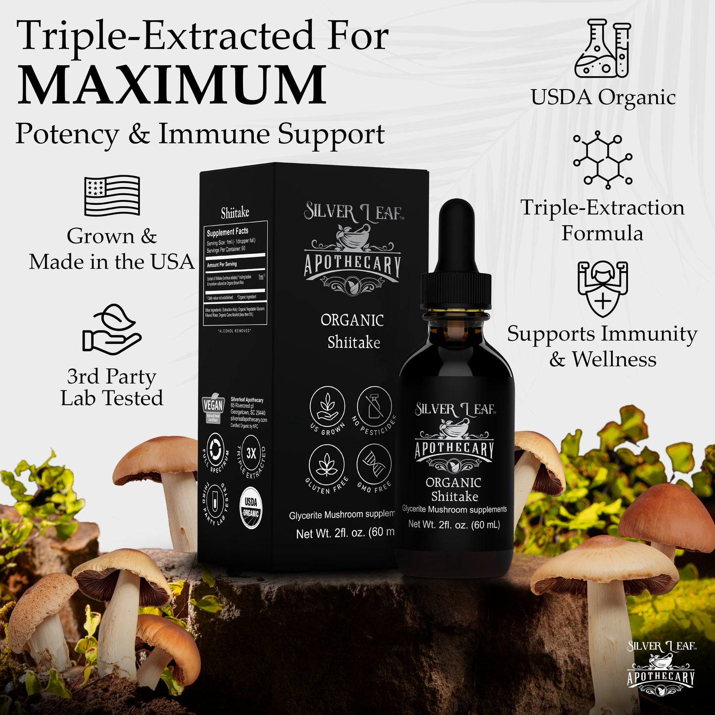 Organic Shiitake (Lentinula edodes)