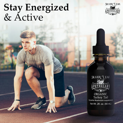 Organic Turkey Tail 2oz Tincture