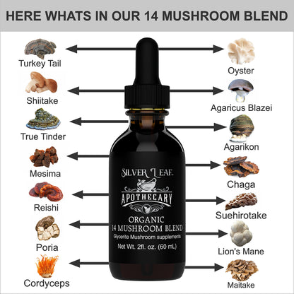 Organic 14 Mushroom Blend