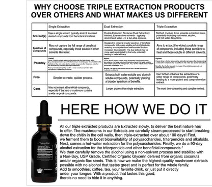 Organic Turkey Tail 2oz Tincture