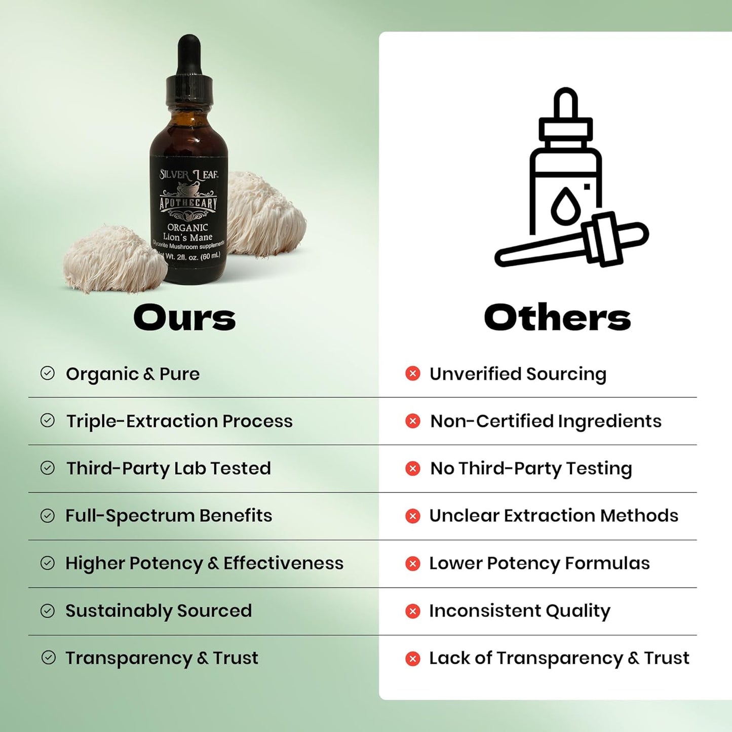 Organic Lion's Mane (Hericium erinaceus) 2oz Tincture